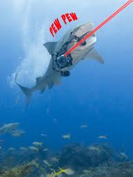 Name:  sharks with lasers.jpg
Views: 2565
Size:  5.5 KB